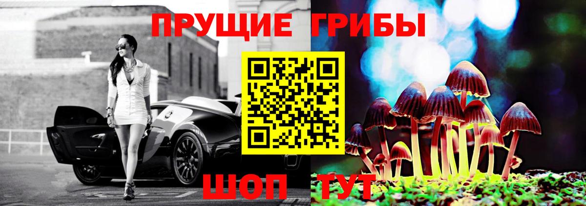 Кандалакша  Галлюциногенные грибы GOLDEN TEACHER  Вход с VPN 